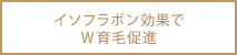 イソフラボン効果でW育毛促進